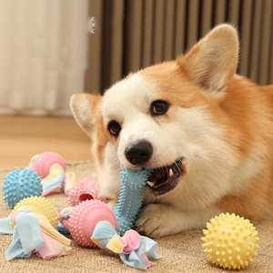 Customized Small Medium-Sized <strong>Dog</strong> Teething Toys Bite-Resistant Spherical Pet Toys Self-Pleasure Sounding Cross-Border - Product Image 1