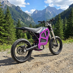 Motocicleta Eléctrica HCBK-X50 de Fábrica, 72V 58Ah 22KW, Cuadro de Aluminio, 330Nm Torque, 85MPH, para Adultos, Cuadro Delantero para Motocicleta Todoterreno HCBK-X50 - Product Image 6