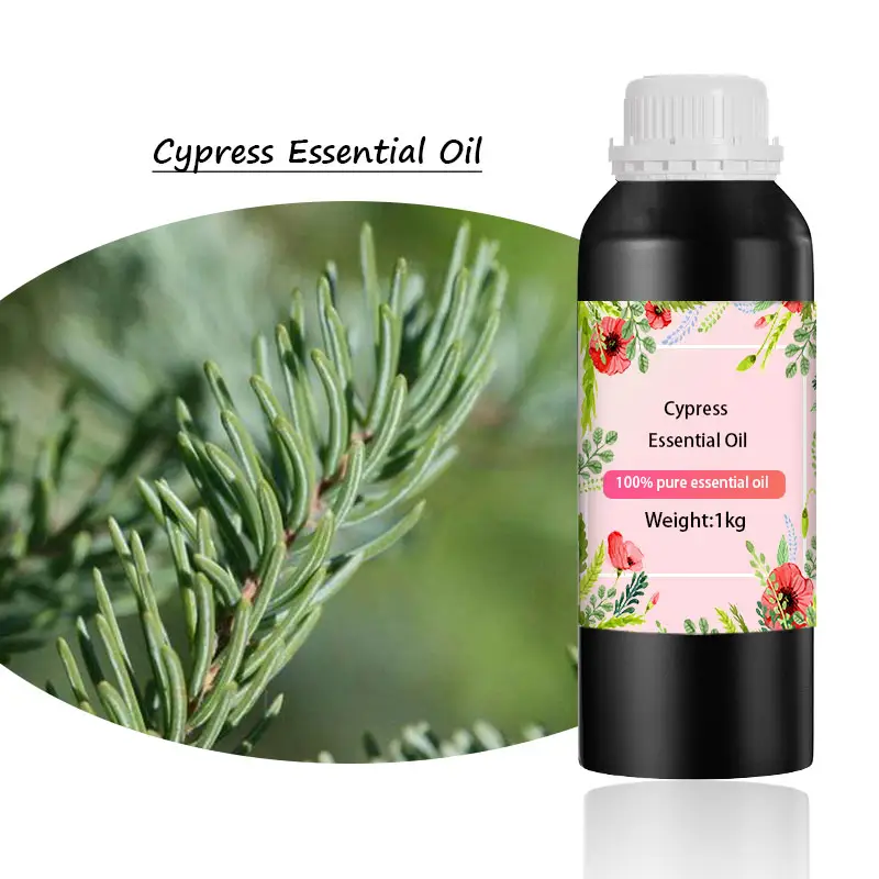Eigenmarke natürliche organische reine Ätherische Beruhigung Pflanze Zypress Ätherisches Öl aromatische Öle für Haarspa in Massenkörperpflege