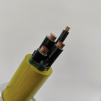 Conducto Metálico Blindado de Cobre Tipo MC-HL para Ubicaciones Peligrosas CULus, Hermético al Gas, con Aislamiento FR-XLPE de 600V e IP44