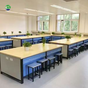 Nouveau modèle de table de travail de laboratoire pour l'enseignement scolaire, économique, pour la physique des étudiants, mobilier de laboratoire - Product Image 3