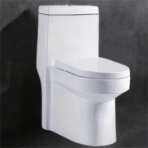 Aangepaste Inodoro Largo S-Trap Ziekenhuis Verborgen Cisterne Wasruimte Dicht Gekoppelde Commerciële Toiletten Verborgen Flush Tank Toilet