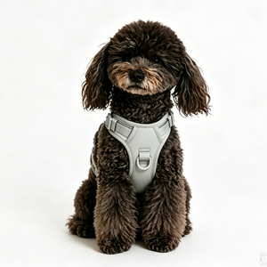 Harnais gilet pour chien anti-traction en maille respirante et douce, avec clip frontal en métal, réglable et rembourré pour un confort de marche facile - Product Image 6