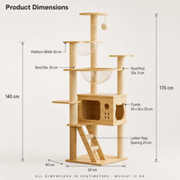 Arbre à chat multi-niveaux en bois massif avec poteaux à gratter en corde de sisal, bols en acrylique et condo en bois pour chats d'intérieur