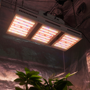 Lámpara de Cultivo LED MEIJIU de Espectro Completo de Alta Eficiencia, 1200 Vatios, Reemplazo de Luz <span class=keywords><strong>HPS</strong></span> para Plantas de Interior - Product Image 2