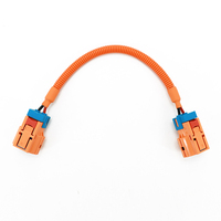 Harness Kabel HV EV 2-Core 1000V DC yang Dapat Disesuaikan dengan Perakitan Kabel HVIL Berperingkat IP67 untuk Kendaraan Energi Baru