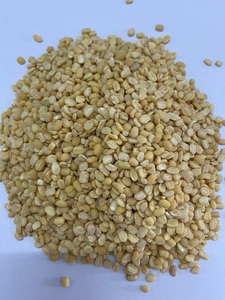 Good Quality Half Peeled Mung <strong>Bean</strong> - Product Image 3