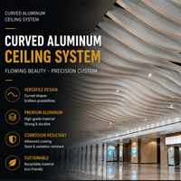 Système de plafond à lamelles en aluminium courbées, résistant à la corrosion, panneaux de plafond métalliques pour la décoration des aéroports, des centres commerciaux, des halls d'hôtels