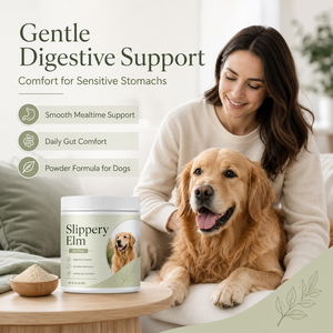 Maßgeschneidertes Verdauungspulver für Hunde - Probiotika-Angereichertes Slippery-Elm-Nahrungsergänzungsmittel - Großhandel Hochbioverfügbare Tierernährung - Product Image 2