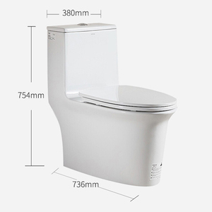 โถสุขภัณฑ์แบบชิ้นเดียว ARROW รุ่นโมเดิร์น ระบบ Dual-Flush สำหรับโรงแรม พร้อม S-Trap โถเซรามิกคุณภาพสูงและอ่างล้างหน้า - Product Image 2