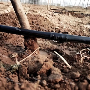 <span class=keywords><strong>Tuyau</strong></span>/Bande d'irrigation <span class=keywords><strong>goutte</strong></span>-<span class=keywords><strong>à</strong></span>-<span class=keywords><strong>goutte</strong></span> cylindrique en PE haute pression, écologique, anti-UV, 16 mm, pour aménagement paysager et pelouse - Product Image 6