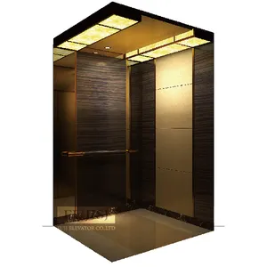 Ascenseur de maison pour la maison Ascenseur à plate-forme verticale Ascenseur résidentiel pour passagers