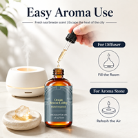 Diffuseur de parfum à bâtonnets aux huiles essentielles, senteur inspirée des hôtels, OEM ODM, 120 ml, désodorisant de luxe pour hôtels et maisons, aromathérapie, pressé à froid, 100% pur