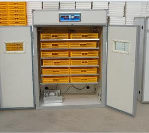 Nouvel incubateur d'œufs automatique à haut taux d'éclosion de 1056 pièces pour oiseaux, autruches, dindes et reptiles - Product Image 4