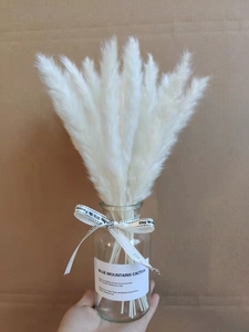 Parterre de fleurs séchées, arrangement de fleurs de décoration intérieure, bouquet de pompons secs, boîte à cadeau, bouquet d'herbes, avec des marais blanches en <span class=keywords><strong>vase</strong></span> en <span class=keywords><strong>verre</strong></span>, vente en gros, S02371 - Product Image 6