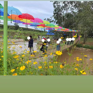 Paraguas tradicional de estilo comercial dominical, Metal Pongee con marco de colorido, decoración colgante para adultos, Impresión de logotipo personalizado - Product Image 1