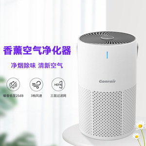 Gonrair Aromatherapy Air Purifier 21-30m HEPA Filter Smoke Removal Home Office Use - Product Image 1