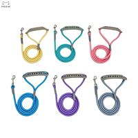 Laisse pour chien en nylon de qualité d'escalade, corde durable, poignée en caoutchouc confortable, laisse de promenade robuste pour chien, entraînement extérieur, 3m, solide