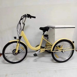 Triciclo a pedali da spiaggia da 24 pollici con 6 marce antiruggine in lega di alluminio con scatola in fibra di vetro per <span class=keywords><strong>Resort</strong></span> - Product Image 1