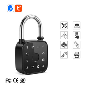 Newekey Grenzüberschreitendes Graffiti WLAN-Smart-Fingerabdruck-Vorhängeschloss Fernentriegelung Passwort Tuya App Kartenleser Holztür Aluminiumlegierung - Product Image 1