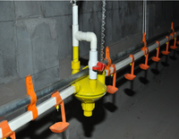Nouveau régulateur de pression d'eau RS-62/63 pour ferme avicole, idéal pour système d'alimentation automatique de poulets avec abreuvoir à tétine