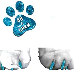 Protections pour pattes de <span class=keywords><strong>chien</strong></span>, antidérapantes, coussinets de traction, attelles pour pattes ou jambes fragiles, chaussures pour <span class=keywords><strong>chien</strong></span>, chaussons, chaussettes de remplacement - Product Image 1