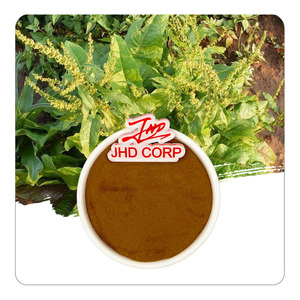 Jhd nhà máy số lượng lớn tự nhiên <span class=keywords><strong>rumex</strong></span> <span class=keywords><strong>crispus</strong></span> Vàng Dock chiết xuất từ rễ bột 4:1 10:1 - Product Image 1