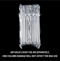 Sac gonflable de colonne d'air de vente de protection d'emballage direct d'usine pour le grand fruit-pastèque ou le melon de Hami