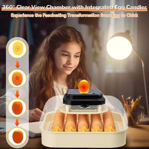 Incubatrice per 30 Uova con Rotazione Automatica, Controllo dell'Umidità, Sperauova Integrato, per Quaglie, Anatre, Polli, Pappagalli, Tasso di Schiusa del 98% - Product Image 3