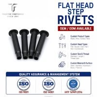 TianFang Rivet à Échelon Tête Plate Noir Fer Aluminium Fixation Auto Machine B2B Vente en Gros MOQ 100Pcs