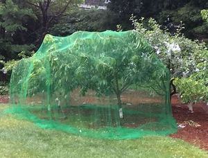 Hdpe Anti-Vogelgaas/Vogelgaas 50 'X 50' Anti-Vogelnet/Vogelpluimvee <span class=keywords><strong>Avaiary</strong></span> Wildhokken Nieuw - Product Image 5