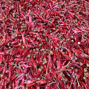 优质干红辣椒温和辛辣真空包装长保质期热芳香用于山东烹饪香料混合物产品 - Product Image 2