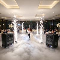 Machine à feux d'artifice à étincelles froides DMX512 avec télécommande sans fil, équipement spécial pour DJ, fêtes, mariages et événements