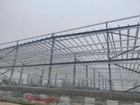 Poulailler préfabriqué en structure acier pour ferme, avec cage à poules pondeuses et système de collecte automatique des œufs