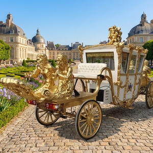 2026 Meilleure vente Carrosse de mariage électrique robuste, version Princesse, blanc, style sculpture, luxe économique, à prix bas - Product Image 1