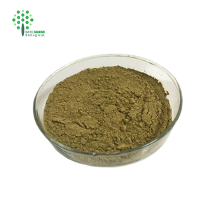 <strong>Ginkgo</strong> Biloba <strong>Extract</strong> 24 Flavonoids /6 Lactones - Product Image 2