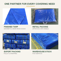 Bâches industrielles en tissu de Chine, bâches durables en HDPE PE, bâches imperméables pour le camping