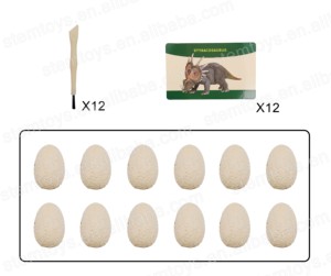 Juguete educativo geográfico <span class=keywords><strong>Huevos</strong></span> <span class=keywords><strong>de</strong></span> <span class=keywords><strong>dinosaurio</strong></span> <span class=keywords><strong>Sorpresa</strong></span> Dino Egg Dig Kit Juguetes Juego con 12 piezas Juguetes Diy - Product Image 5