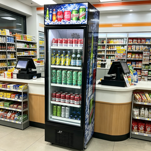 Refrigerador Vertical Comercial de 235L con Puerta de Vidrio Simple, Estantes Ajustables y Compresor, al Mejor Precio - Product Image 5