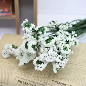Vente en gros de fleurs séchées Fleurs conservées populaires Ne m'oublie pas Myosotis Décoration intérieure Décoration désherbage