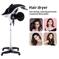 Chine Sèche-cheveux Machine Styling Debout Sèche-cheveux Chauffage Dauphin Sèche-cheveux Accélérateur Machine