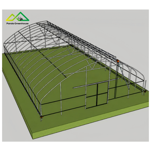 Polyfolie tunnelkas is zeer geschikt voor het kweken van diverse groenten, fruit en bloemen. - Product Image 4