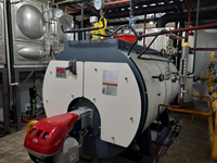 Chaudière à vapeur à tubes de feu horizontale à haute pression, entièrement automatique, contrôlée par PLC, avec sortie d'eau chaude, compatible IoT, intelligente