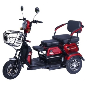 Tricycle électrique pour passagers, tricycle électrique 1000W, tricycle électrique pour adultes - Product Image 1