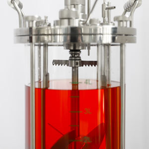 เครื่องปฏิกรณ์ชีวภาพเครื่องหมักในห้องปฏิบัติการสำหรับถังอากาศเครื่องปฏิกรณ์ชีวภาพแบคทีเรีย10L แบคทีเรีย - Product Image 4