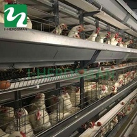 Système de cages à batterie automatiques professionnelles pour poulets de chair à prix d'usine à vendre