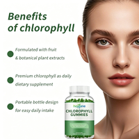 Gummies de chlorophylle à marque privée OEM – Complément alimentaire naturel à base de plantes pour l'éclat de la peau des adultes, bienfaits antioxydants quotidiens