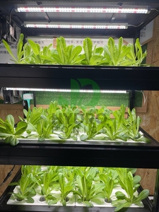 Tour hydroponique verticale à 4 couches LED pour le <span class=keywords><strong>contrôle</strong></span> de la climatisation intérieure Système de culture domestique Armoire hydroponique pour épices et légumes - Product Image 2