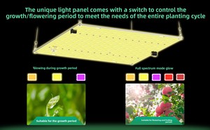 Lampe de culture LED Quantum Board avec puce LED Samsung, IP65, spectre complet IR UV 700nm, pour la floraison, hydroponie et <span class=keywords><strong>plantes</strong></span> - Product Image 5