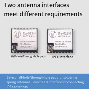 Ra-01SH LoRa <span class=keywords><strong>Module</strong></span> SX1262 שבב 868MHz 915MHz ממשק SPI +22dBm משדר אלחוטי לטווח ארוך בהספק גבוה - Product Image 3